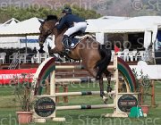Cocconi Zanra Z TosTour2013- S5 1257 : Arezzo, Cocconi Alberto, Toscana Tour 2013, Zanra Z, foto di Stefano Secchi ©